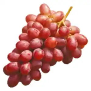 Trauben rot