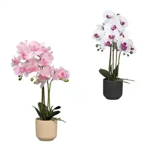 HOME CREATION Naturgetreue Orchidee