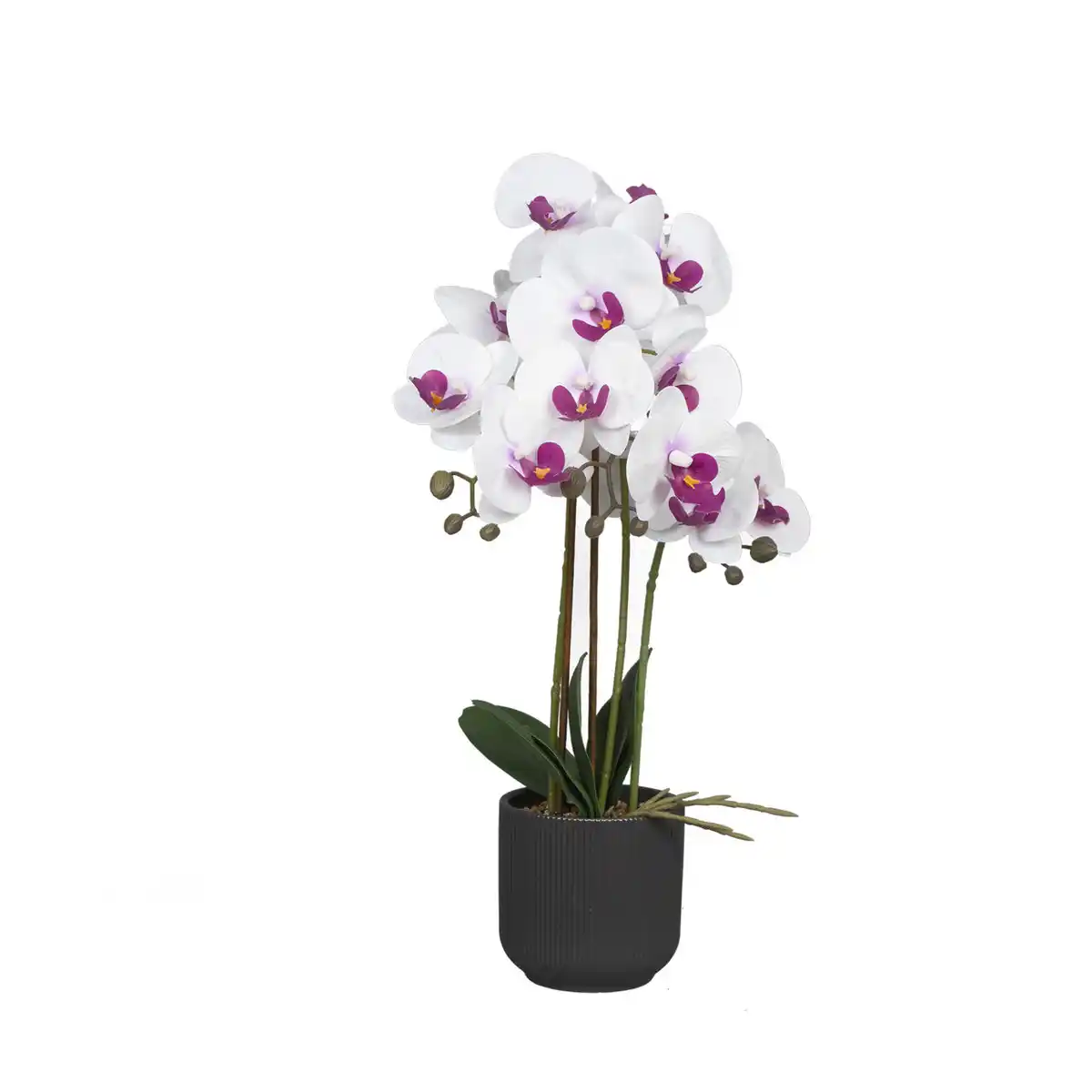 Bild 2 von HOME CREATION Naturgetreue Orchidee