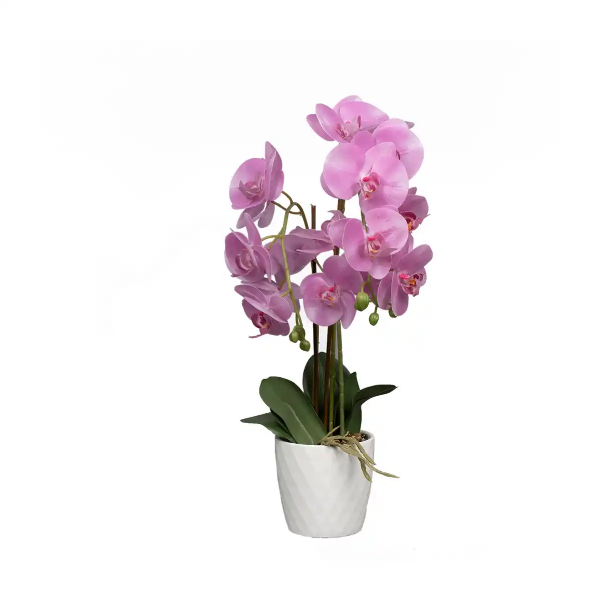 Bild 4 von HOME CREATION Naturgetreue Orchidee