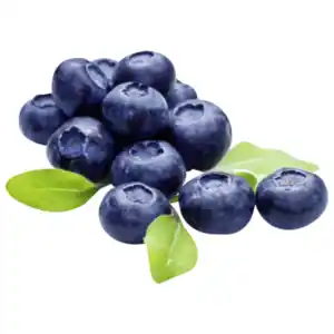 Deutschland Bio Naturland Heidelbeeren