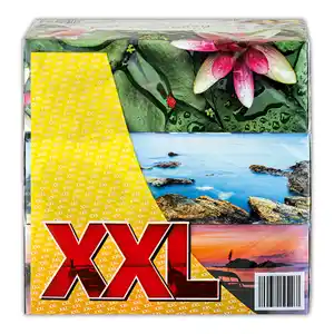 Daunasoft Taschentücher Triobox XXL