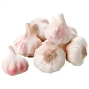 Bio Knoblauch