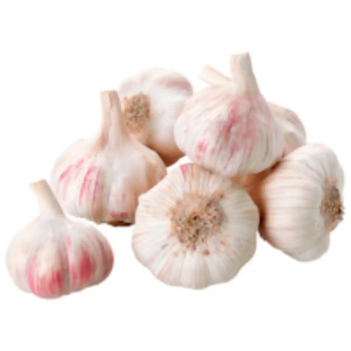 Bild 1 von Bio Knoblauch