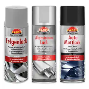 Carfit Professional Kfz-Reparatur-Spray