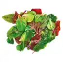 Bild 1 von GO Regio Deutscher Pflücksalat