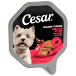 Cesar Hundenahrung