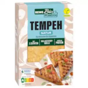 REWE Bio pflanzlich Soja-Tempeh