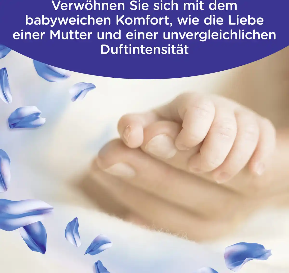 Bild 3 von Softlan Weichspüler Windfrisch 45 WL