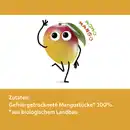 Bild 3 von Freche Freunde Bio Fruchtchips Mango, 14 g