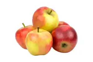 Äpfel
