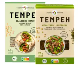 Tempeh