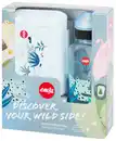 Bild 1 von EMSA Geschenk-Set »Trinkflasche & Lunchbox«, 2-teilig