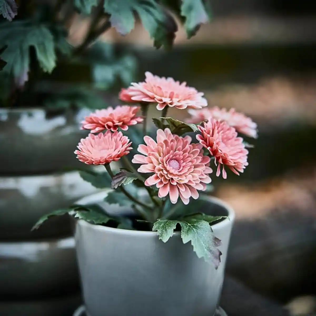 Bild 2 von FEJKA Topfpflanze, künstlich, drinnen/draußen/Chrysantheme rosa, 9 cm