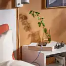 Bild 3 von LILLHULT USB-C auf USB-C, lila, 3.0 m