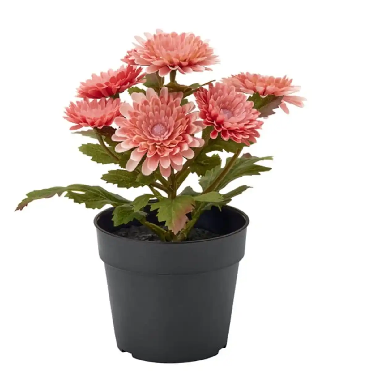 Bild 4 von FEJKA Topfpflanze, künstlich, drinnen/draußen/Chrysantheme rosa, 9 cm