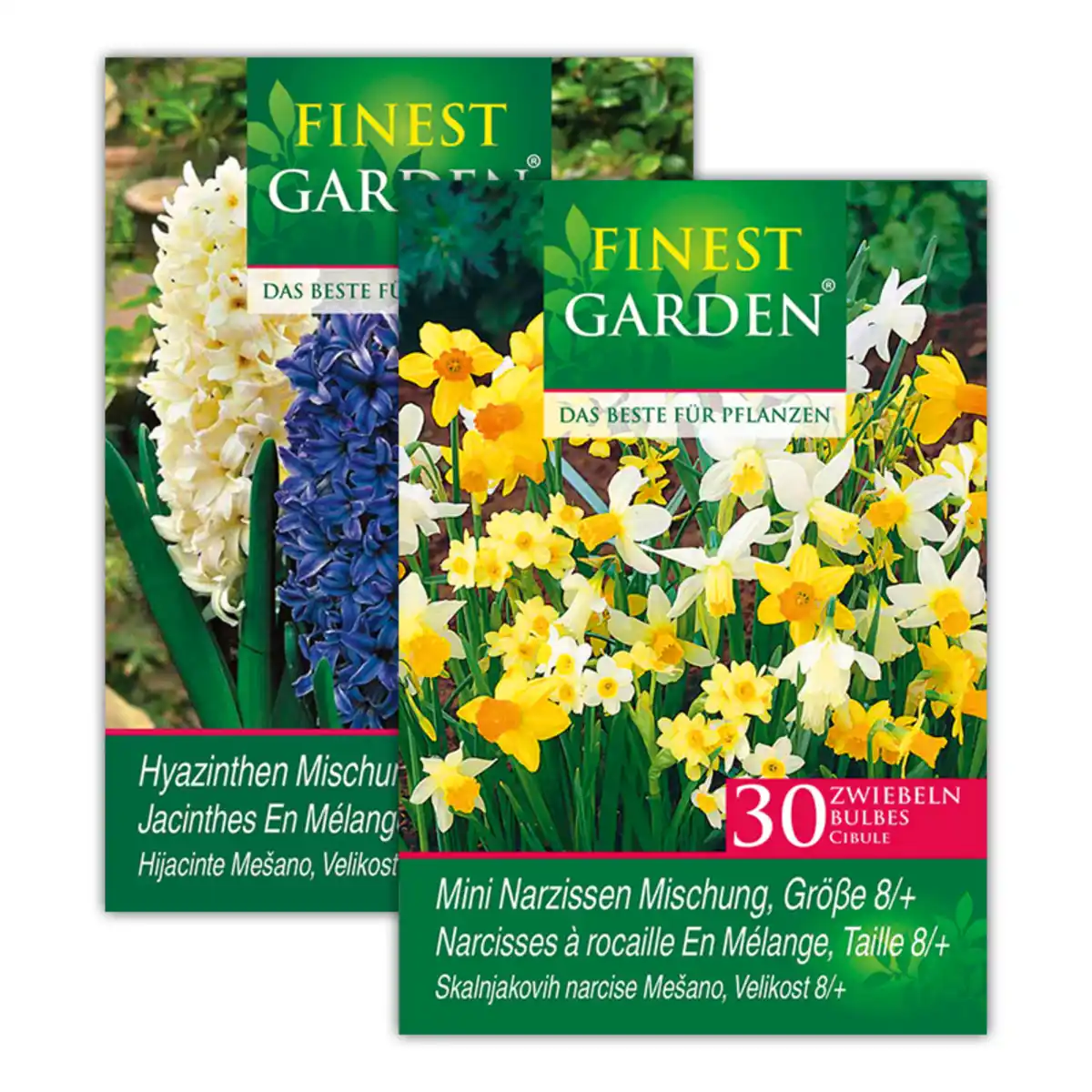Bild 1 von Finest Garden Herbstblumenzwiebeln im Netzbeutel