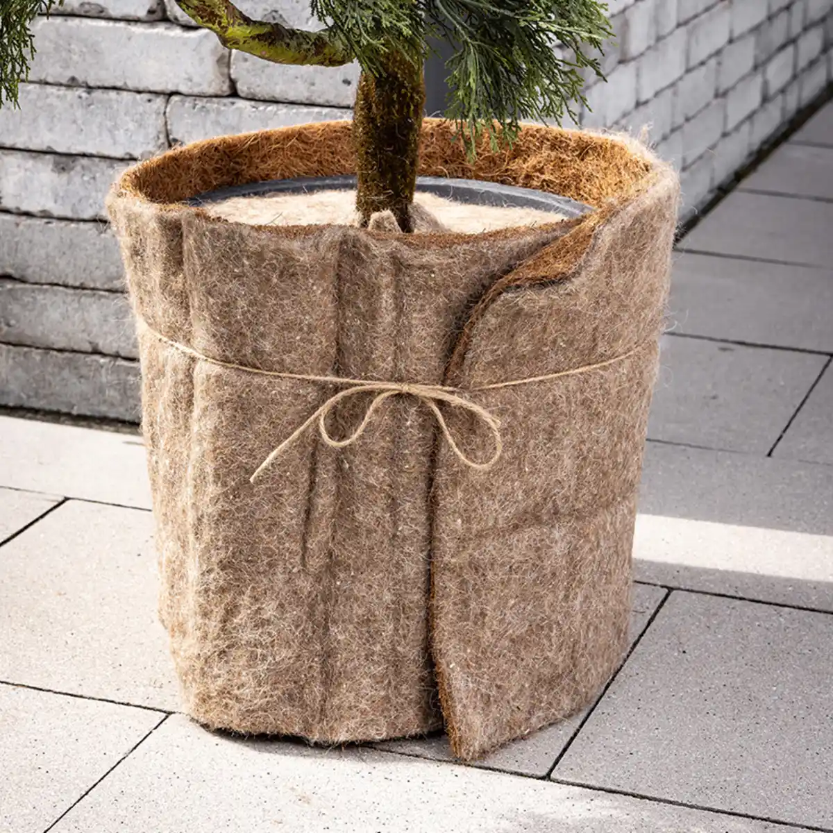 Bild 1 von Powertec Garden Hybrid-Winterschutzmatte