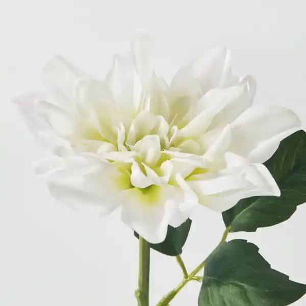 Bild 3 von SMYCKA Kunstblume, drinnen/draußen/Dahlie weiß, 30 cm