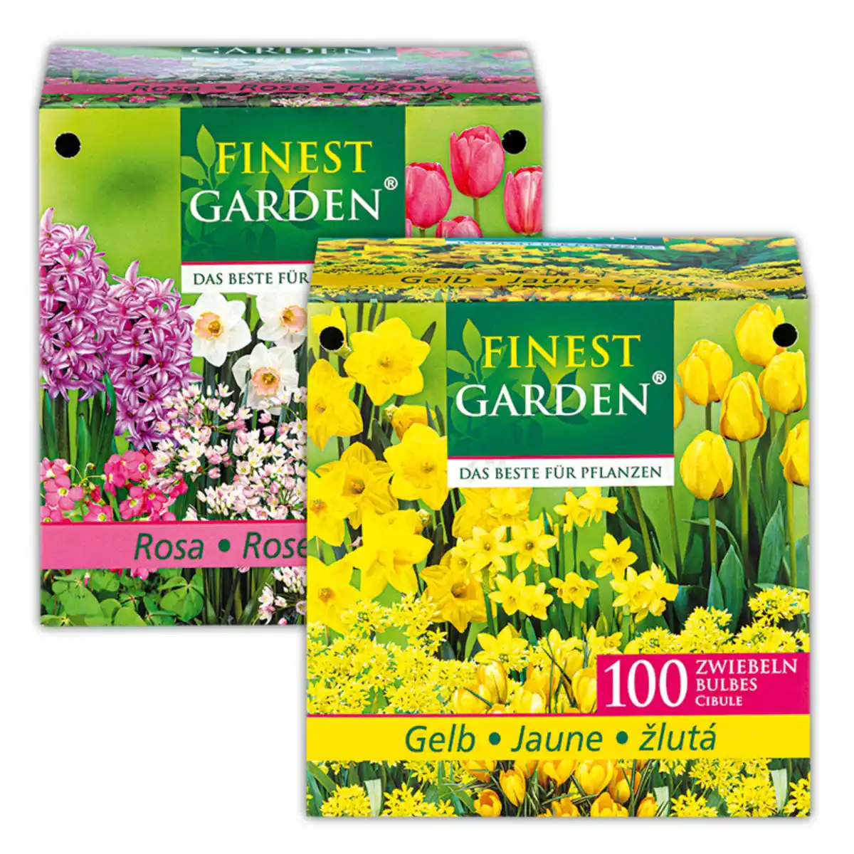 Bild 1 von Finest Garden Blumenzwiebeln