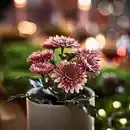 Bild 3 von FEJKA Topfpflanze, künstlich, drinnen/draußen/Chrysantheme rosa, 9 cm