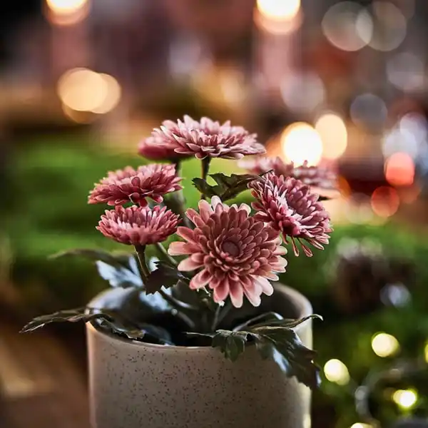 Bild 3 von FEJKA Topfpflanze, künstlich, drinnen/draußen/Chrysantheme rosa, 9 cm