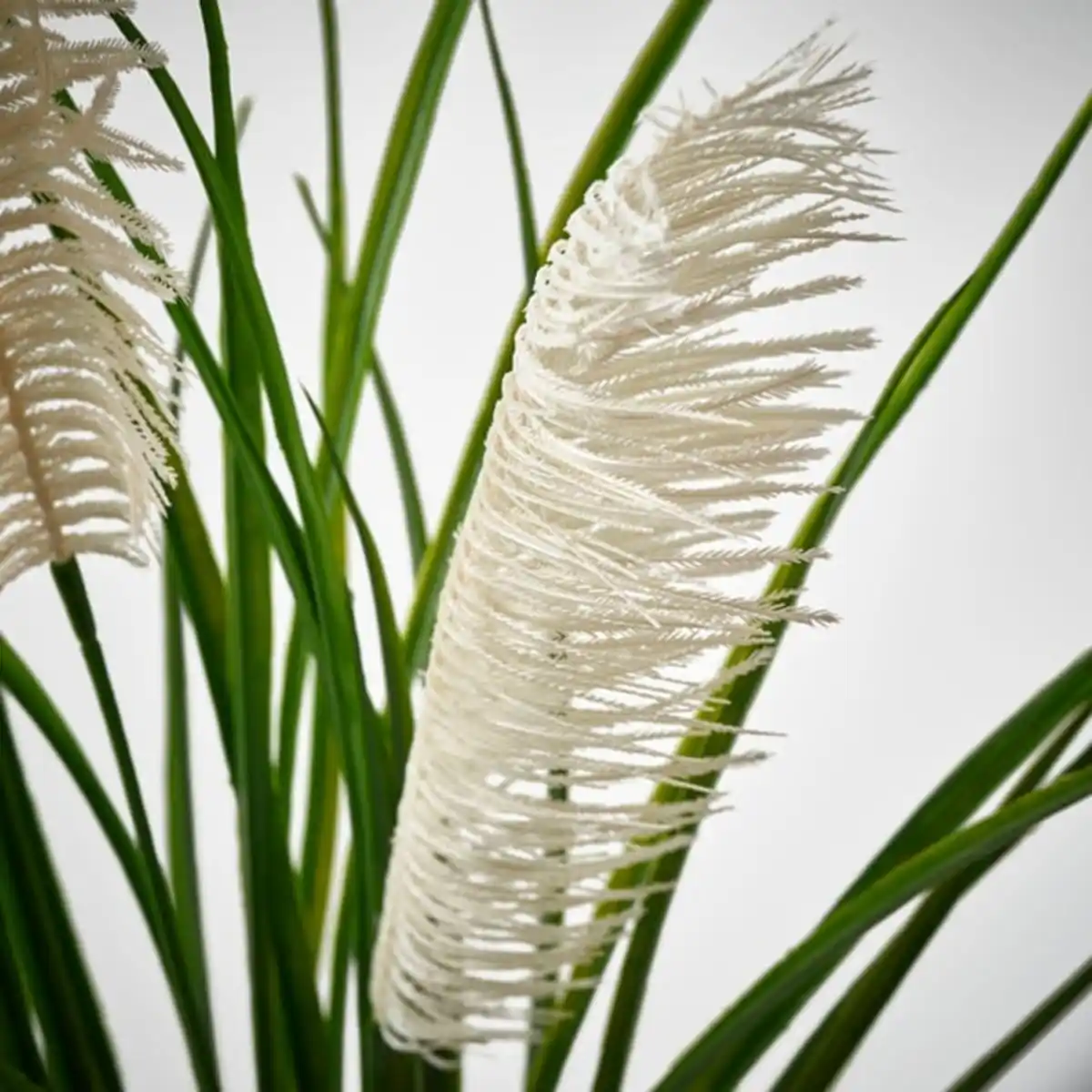 Bild 4 von FEJKA Topfpflanze, künstlich, drinnen/draußen/Gras, 12 cm