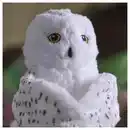 Bild 3 von SKOGSDUVA Stoffspielzeug, Handpuppe/Schneeeule weiß, 25 cm