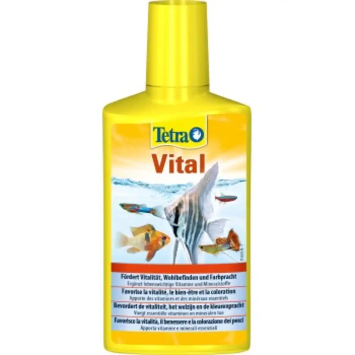 Bild 1 von Tetra Vital