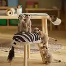 Bild 3 von SANDLÖPARE Stoffspielzeug, Erdmännchen/beige, 20 cm