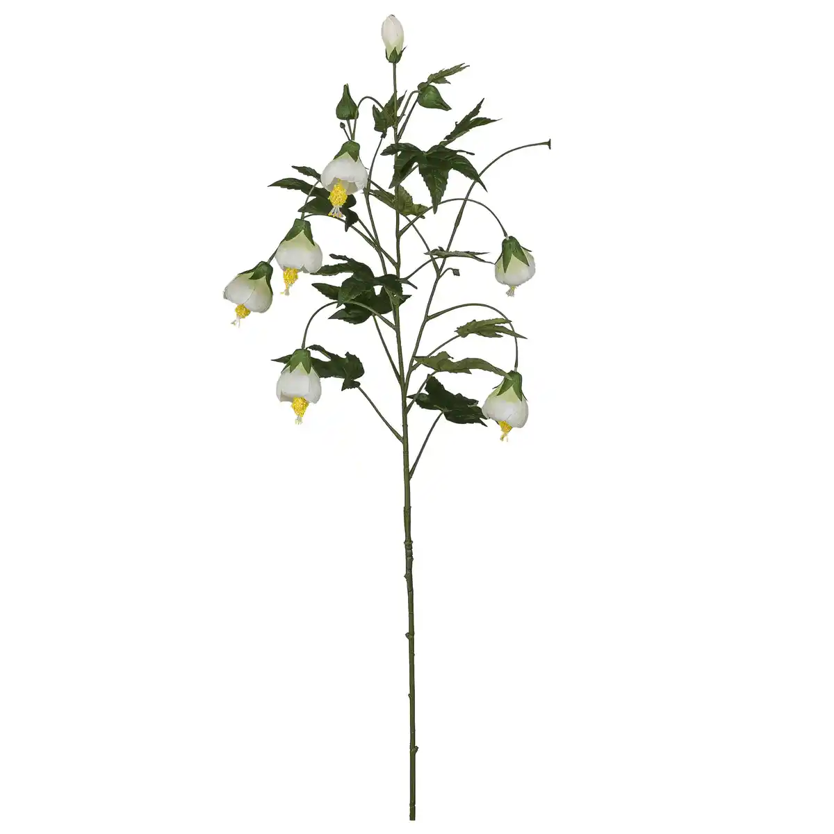 Bild 1 von Dekozweig Abutilon I Weiß/Braun, Weiß