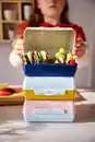 Bild 1 von EMSA Lunchbox-Set »Variobolo«, 3-St.-Packg.