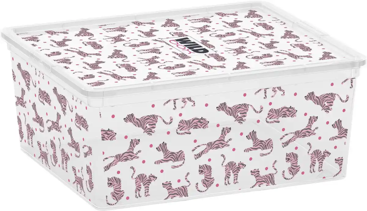 Bild 1 von CURVER Aufbewahrungsbox »C-Box Style M«