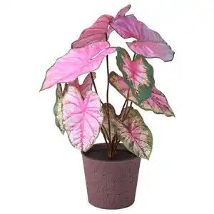 SMÅTÄRNA Topfpflanze, künstlich, Papier/Buntwurz, 14 cm