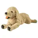 Bild 1 von GOSIG GOLDEN Stofftier, Hund/Golden Retriever, 70 cm