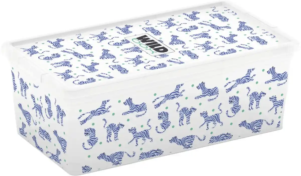 Bild 1 von CURVER Aufbewahrungsbox »C-Box Style XS«