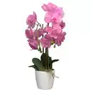 Bild 1 von HOME CREATION Naturgetreue Orchidee, Dunkelrosa