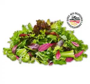 Deutscher mediterraner Pflücksalat*