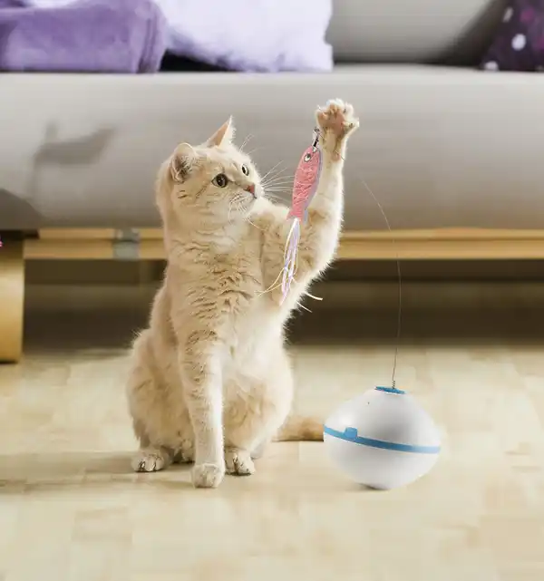 Bild 3 von IDEENWELT Interaktives Katzenspielzeug