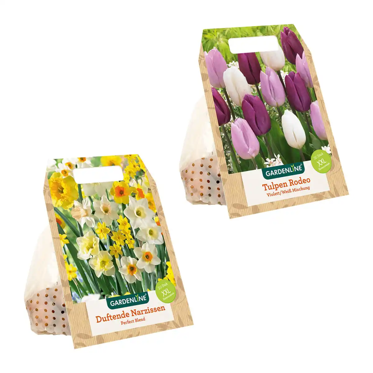 Bild 1 von GARDENLINE XXL-Blumenzwiebeln