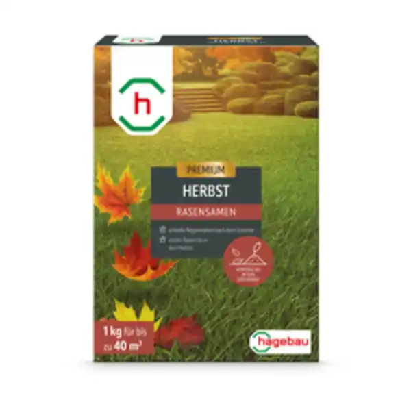 Bild 2 von h-Marke Rasen, Rasensamen Herbstrasen 1,0Kg Karton für 40 m2