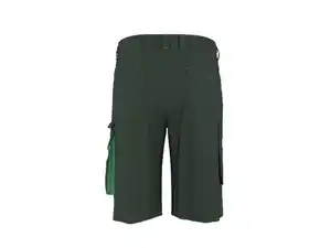 PARKSIDE® Herren Arbeitsshorts