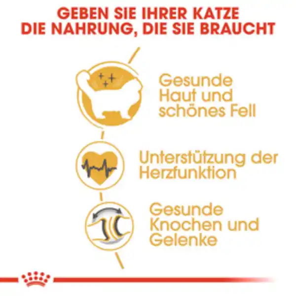 Bild 2 von ROYAL CANIN Trockenfutter »FBN Ragdoll Adult«, 2 kg