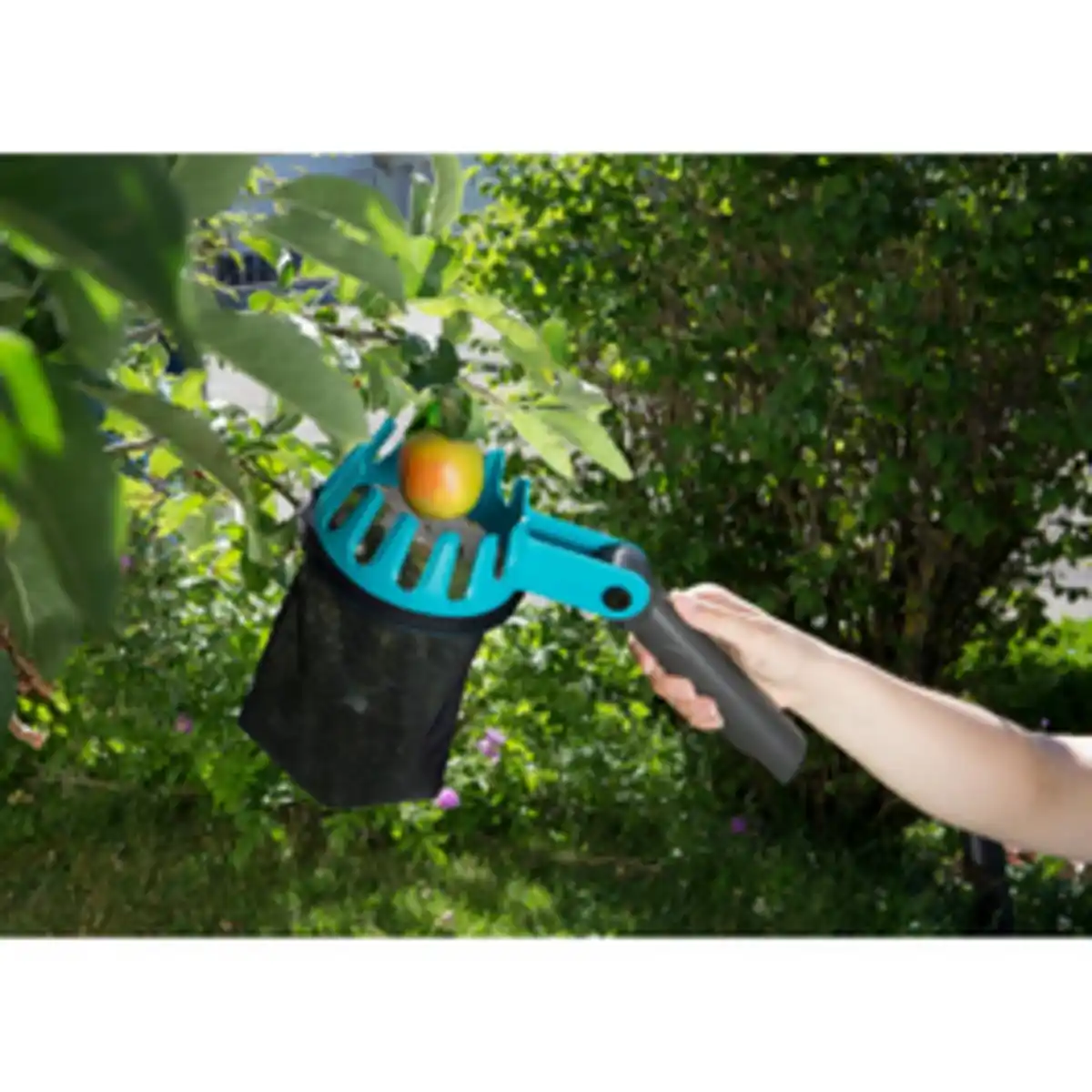Bild 3 von GARDENA Obstpflücker, »Combisystem«, Ø 14 cm, blau/schwarz
