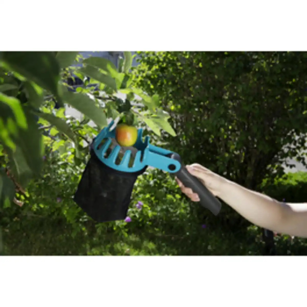 Bild 2 von GARDENA Obstpflücker, »Combisystem«, Ø 14 cm, blau/schwarz