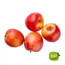 Bild 1 von BIO Äpfel