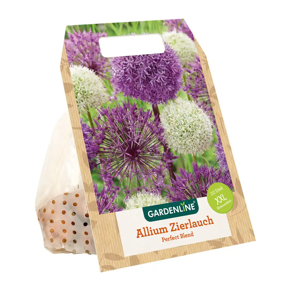 Bild 4 von GARDENLINE XXL-Blumenzwiebeln