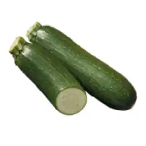 Zucchini