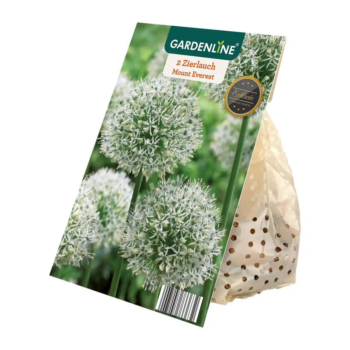 Bild 2 von GARDENLINE Zierlauch-Blumenzwiebeln