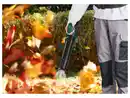Bild 3 von PARKSIDE® Benzin-Laubbläser »PBRLB 52 A1«